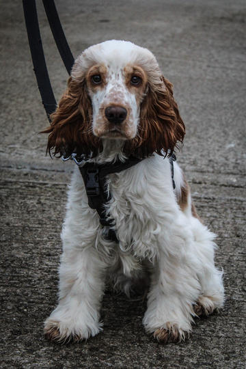 五一我的嘴没停过